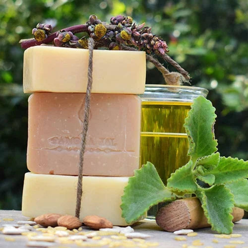 Herbal soap